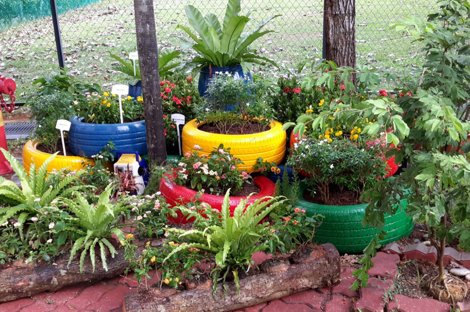Recycled Garden At Primary School 1 